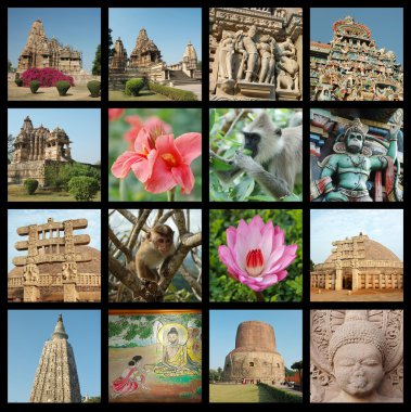 Go to India collage - travel photos clipart