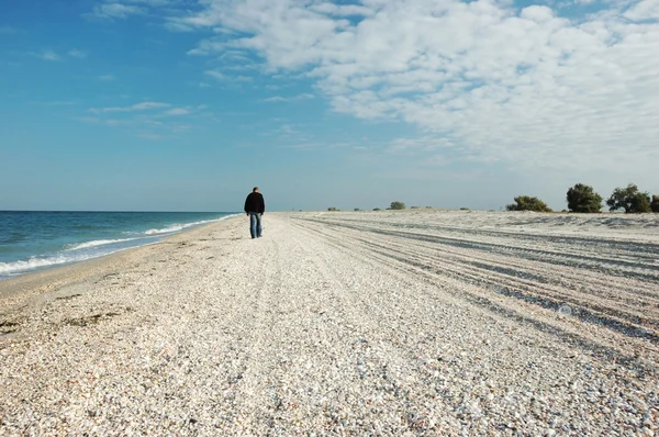 Homem caminhando na ilha desabitada — Fotografia de Stock