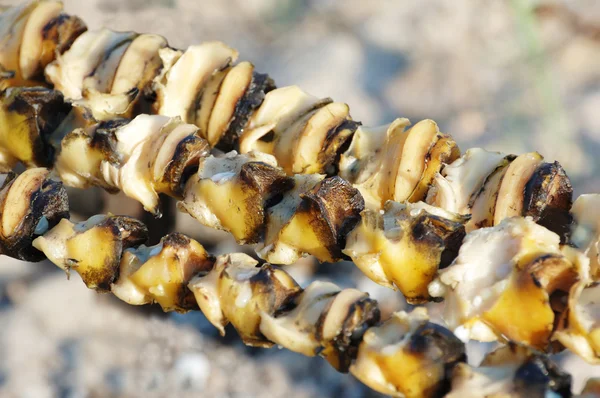 Closeup of seafood barbecue or made from rapana mollusk