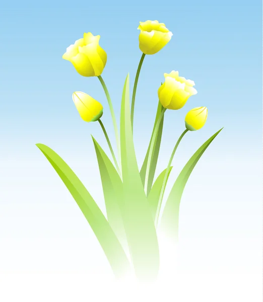 ช่อดอกไม้ฤดูใบไม้ผลิ — ภาพเวกเตอร์สต็อก