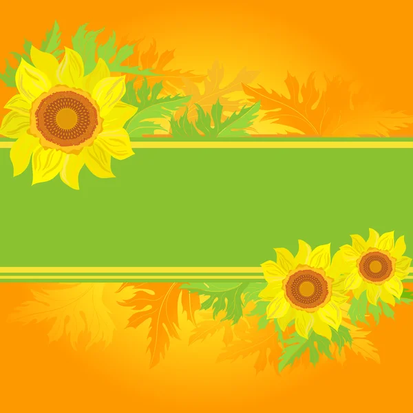 Floral banner — Stock Vector