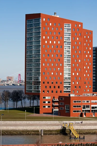 Architettura moderna a rotterdam — Foto Stock