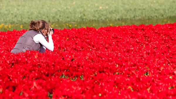 Девушка делает фотографии цветов — стоковое фото