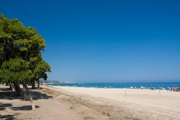 Пляж под ясным голубым небом — стоковое фото