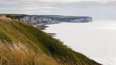 High cliffs. Normady, France clipart