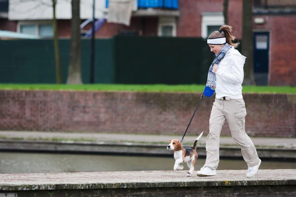 Девушка гуляет с собакой — стоковое фото