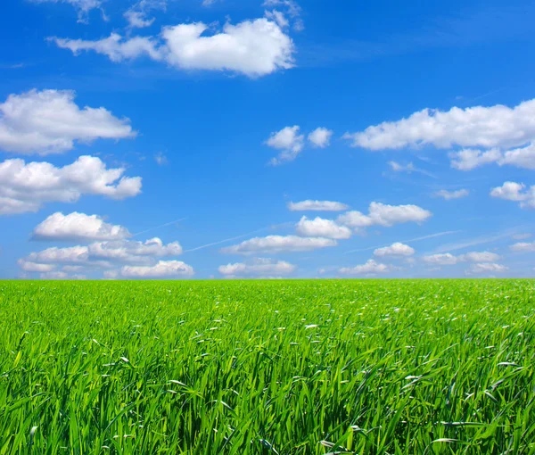 A mező és a felhők — Stock Fotó