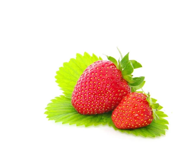 Juicy strawberry — Stock Photo, Image