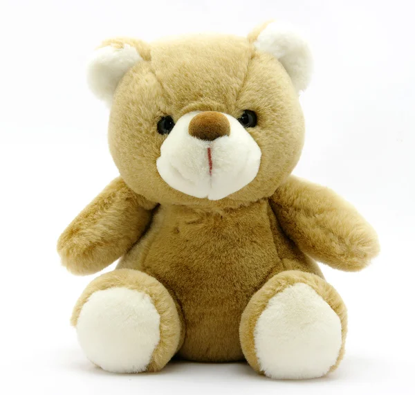 stock image Teddy Bear
