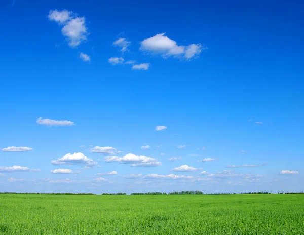 A mező és a felhők — Stock Fotó