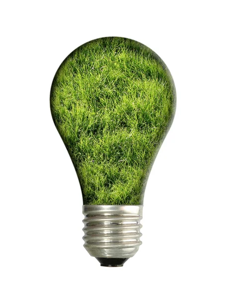 グリーンエネルギーの概念 — ストック写真