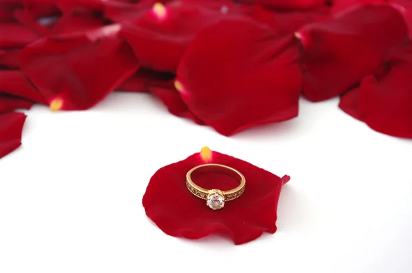 Rose y anillos de boda — Foto de Stock