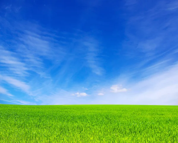 翠绿的草地和天空 — 图库照片
