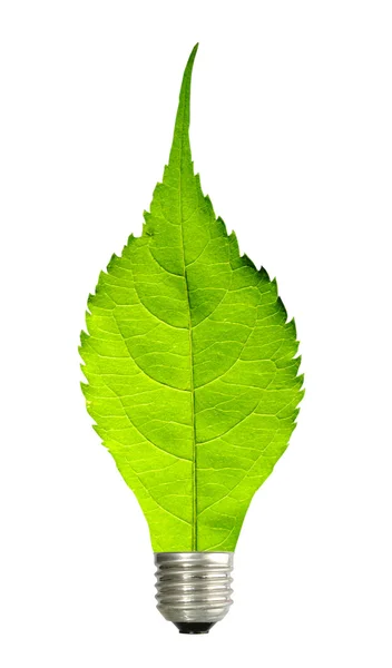 Green concept — Stock Photo, Image