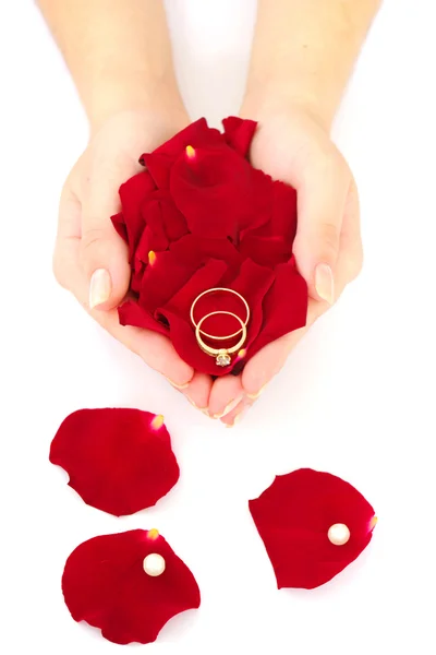 Rose Petals — Stock Photo, Image