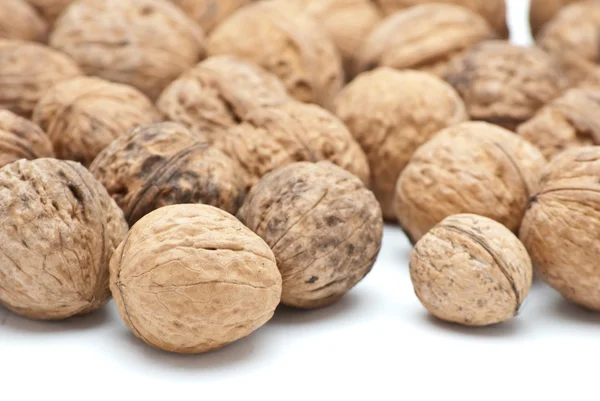 stock image Walnuts