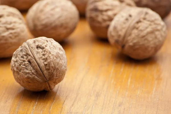 Stock image Walnuts