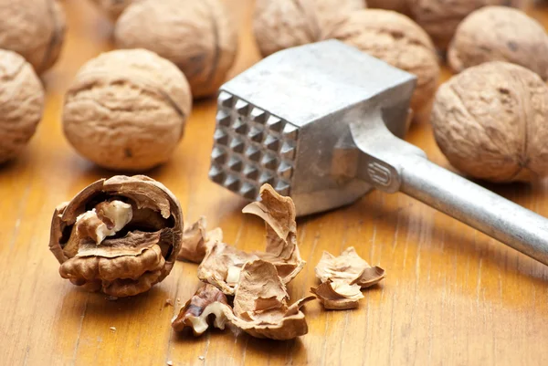 Stock image Walnuts