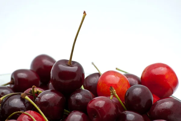 stock image Sweet cherry