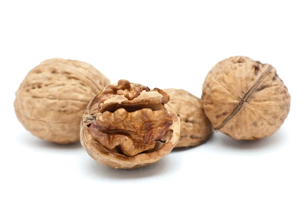 stock image Walnuts