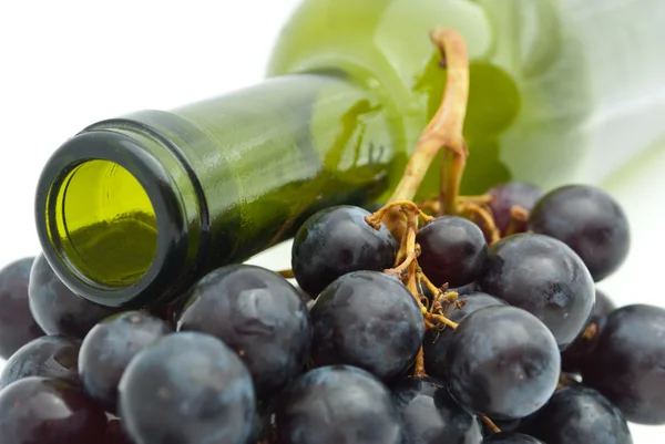 stock image Vine and bottle of wine