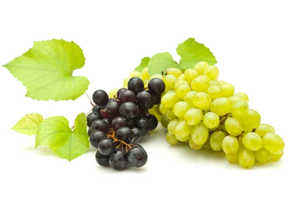 Ramo de uvas sobre fondo blanco — Foto de Stock