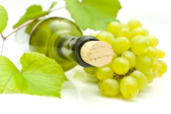Vinha e garrafa de vinho — Fotografia de Stock