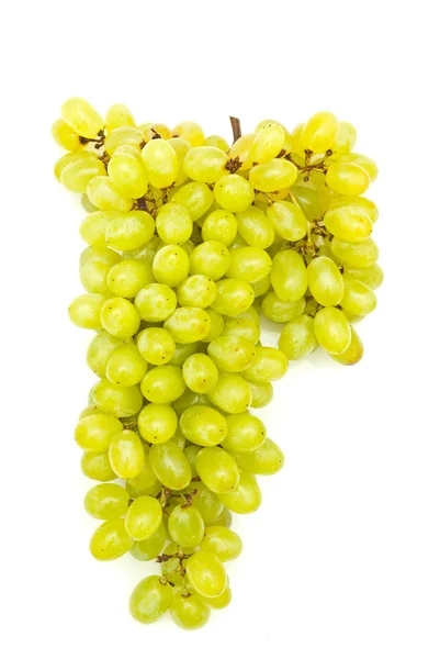 Grappolo d'uva su fondo bianco — Foto Stock