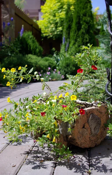 stock image Garden flowerpot