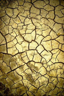 Arid background clipart