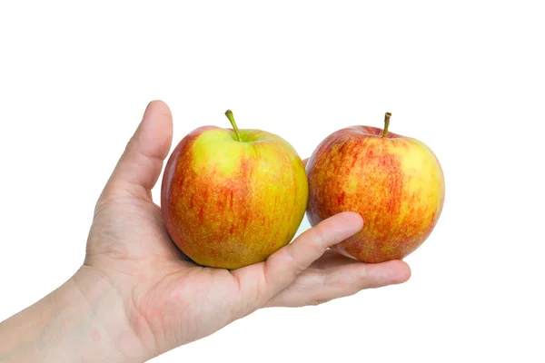 Jablka na dlani — Stock fotografie