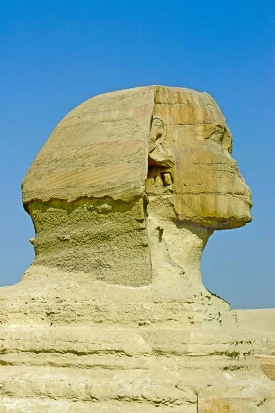 Esfinge egipcia —  Fotos de Stock