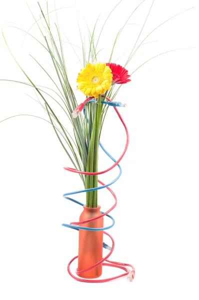Conceptos de alambres y flores — Foto de Stock