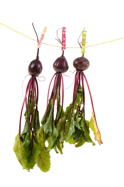 Hanging beet — Stock Photo, Image