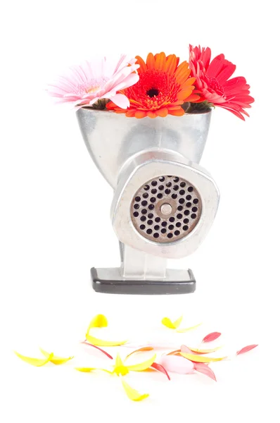 Conceptual photo with flowers — Stock Photo, Image