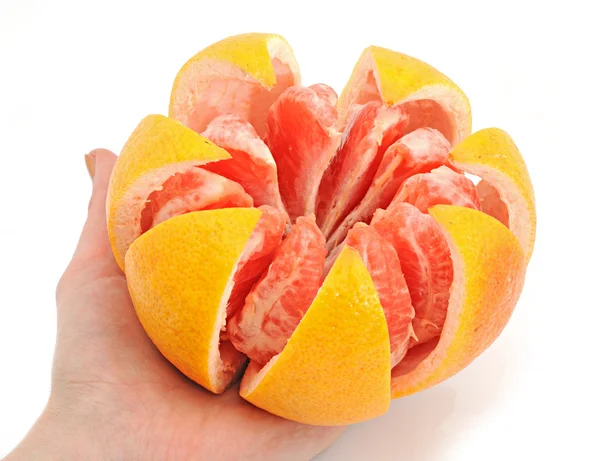 Velké grapefruitu — Stock fotografie