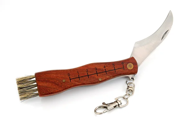 Cuchillo con cepillo — Foto de Stock