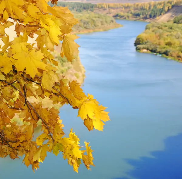 Sonbahar ahşap ve nehir — Stok fotoğraf