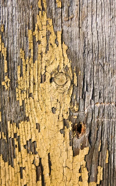 Papan cat lama — Stok Foto