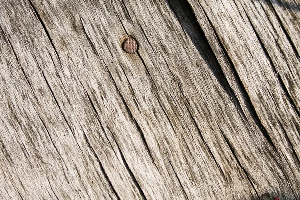 Parede velha de madeira com um prego — Fotografia de Stock