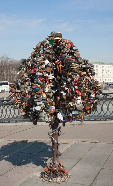 Uma árvore com fechaduras de casamento. Moscovo — Fotografia de Stock