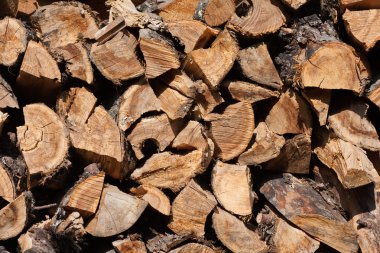 bir woodpile içinde yığılmış yakacak odun