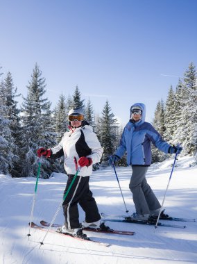 Skiers mountains in the background clipart