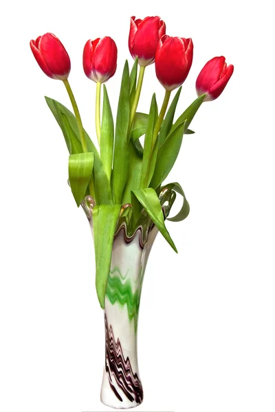 stock image Five tulip