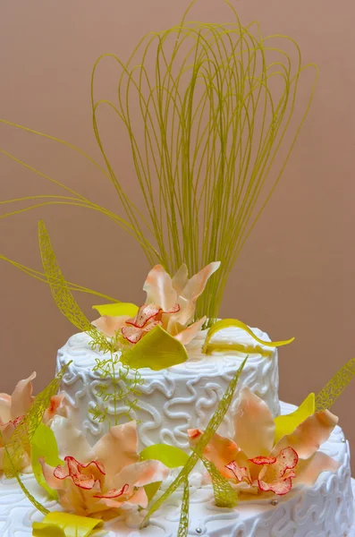 Ornamented cake — Stock Photo, Image