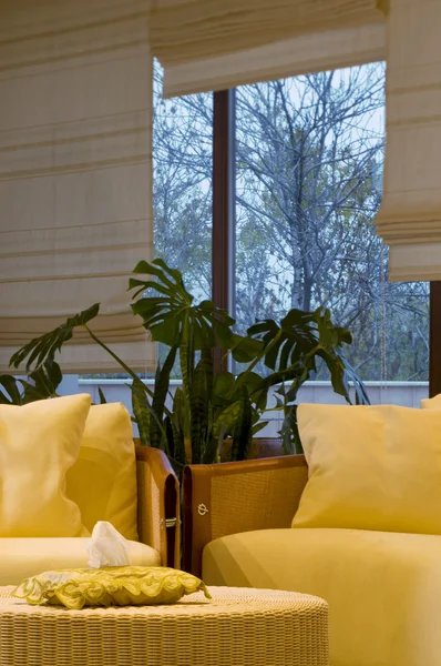 Interior com duas cadeiras e uma flor — Fotografia de Stock
