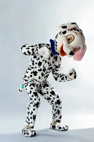 Um homem vestido de cão Dálmatas — Fotografia de Stock