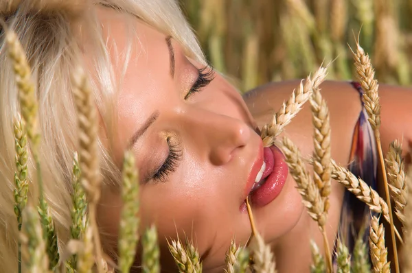 Blondýnka seděla na poli pšenice — Stock fotografie