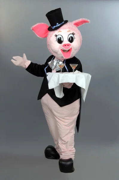 Kostium świnia — Zdjęcie stockowe