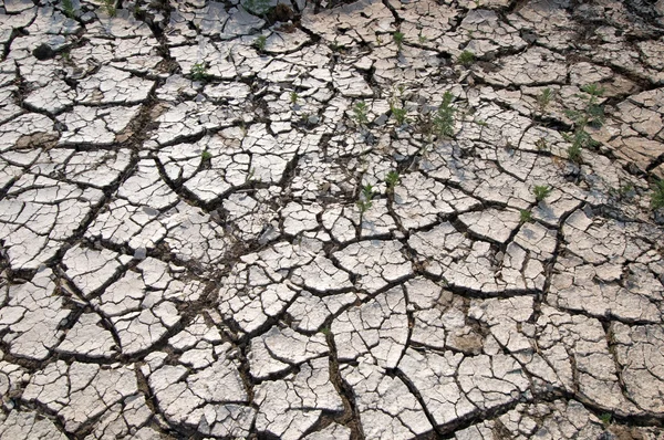 Ytan av lera med sprickor — Stockfoto